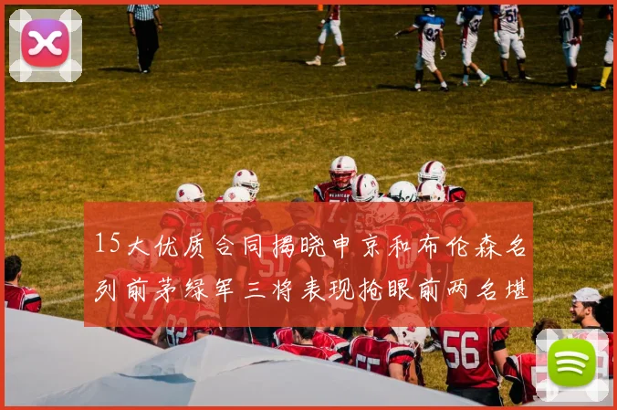 15大优质合同揭晓申京和布伦森名列前茅绿军三将表现抢眼前两名堪称传奇
