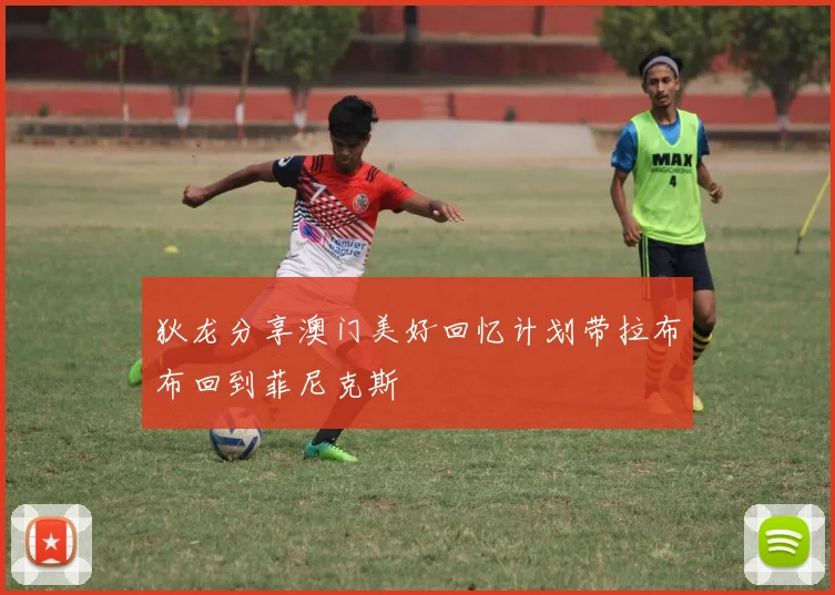 狄龙分享澳门美好回忆计划带拉布布回到菲尼克斯