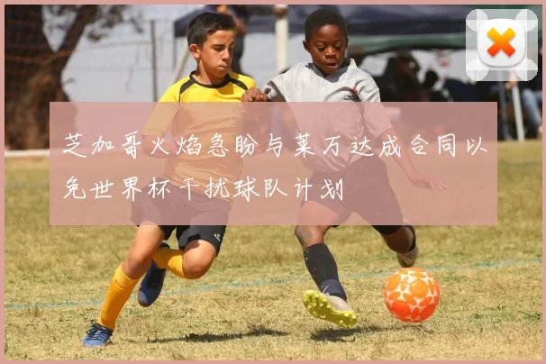 芝加哥火焰急盼与莱万达成合同以免世界杯干扰球队计划