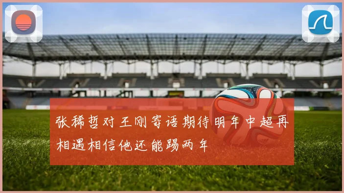 张稀哲对王刚寄语期待明年中超再相遇相信他还能踢两年